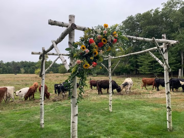 The Meadow At Red Ridge Farm