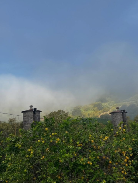 Billiwhack Ranch