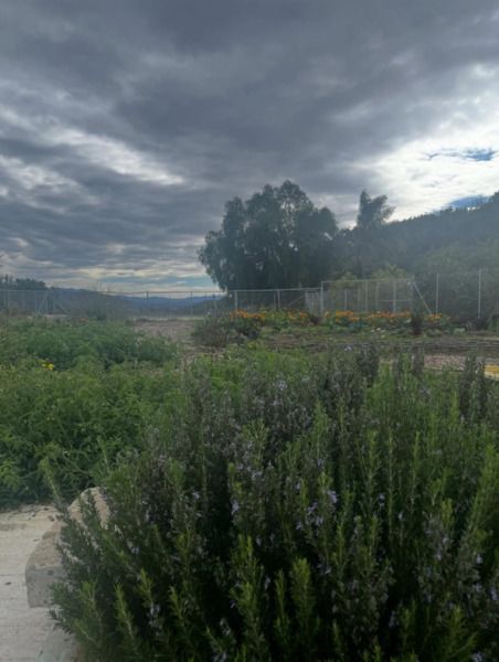 Billiwhack Ranch