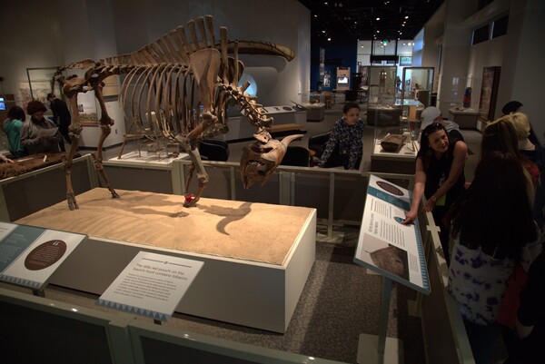 Science Museum Of Minnesota