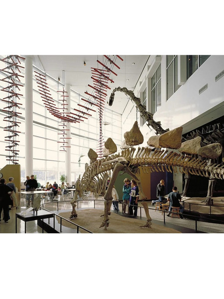 Science Museum Of Minnesota