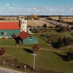 The Grounds