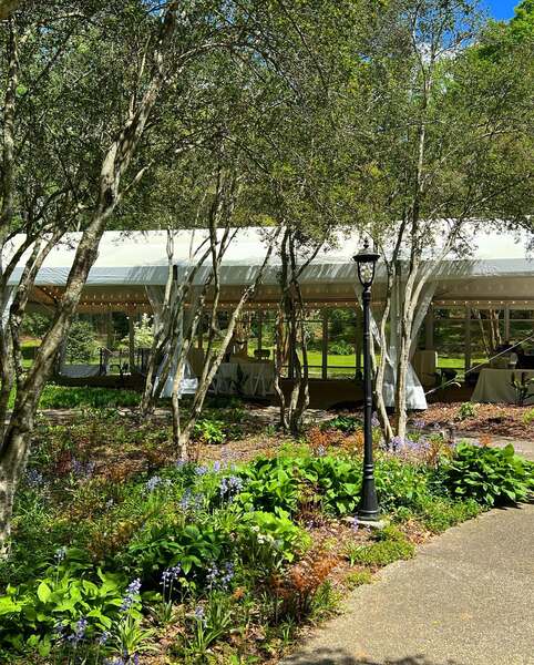 Cator Woolford Gardens