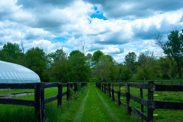East Oaks Farm