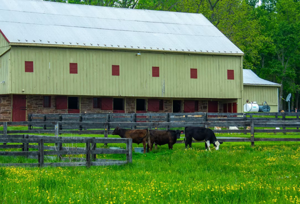 East Oaks Farm