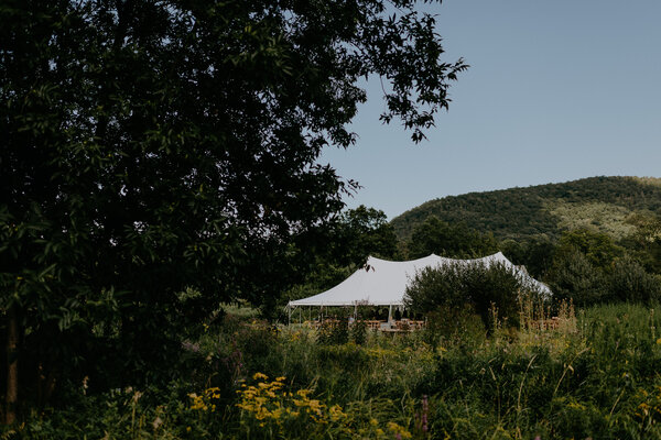 Blooming Hill Farm