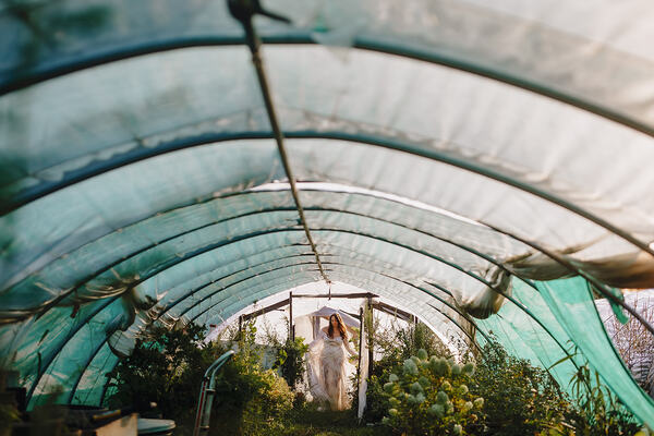 Blooming Hill Farm