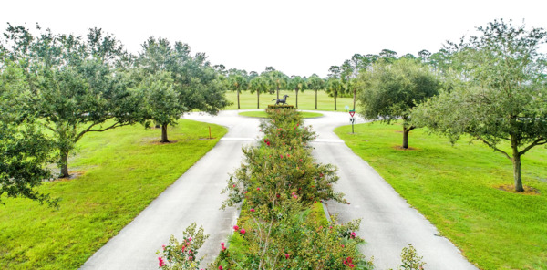 Sunshine Grove