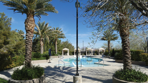 Pool and Lawn