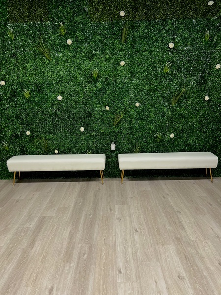 Solar Lounge