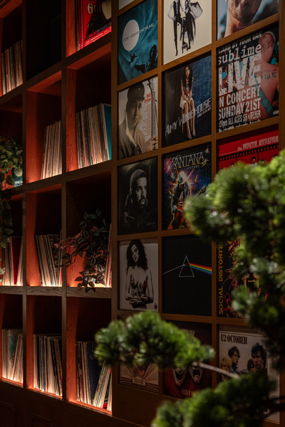 Vinyl Room - Las Vegas