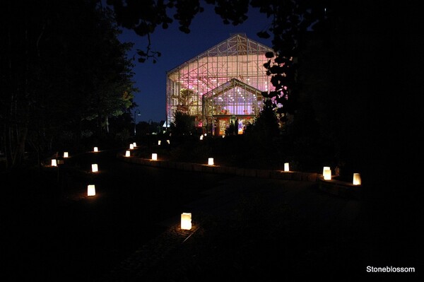 Roger Williams Park Events