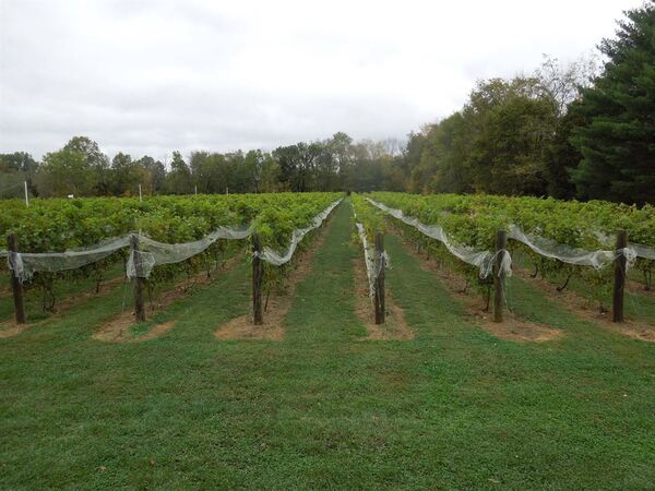 Harmony Hill Vineyards & Estate Winery