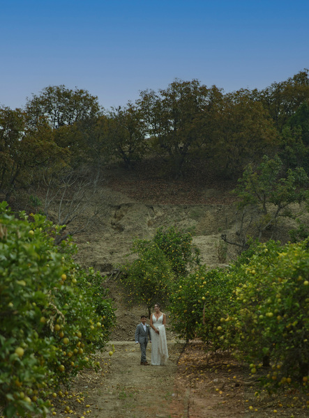 Billiwhack Ranch