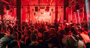 The Ave Live