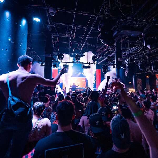 The Ave Live