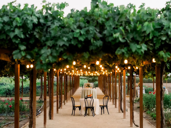 Roblar Winery