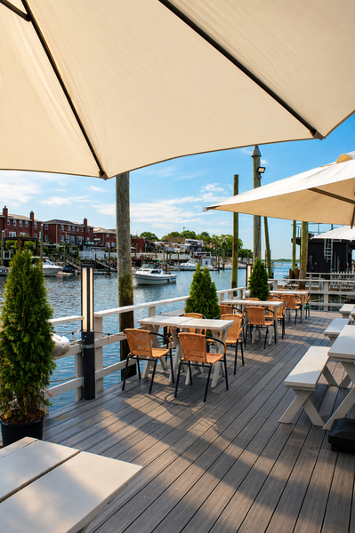 Swan Marina NYC