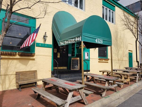 The Barking Dog