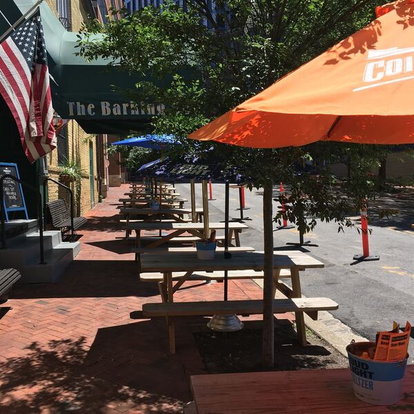 The Barking Dog