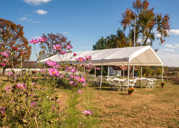 Honey Acres Farm
