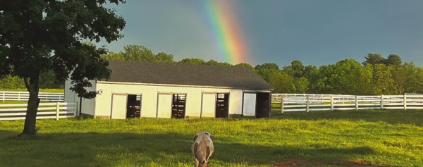Honey Acres Farm