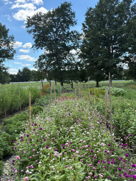 Honey Acres Farm