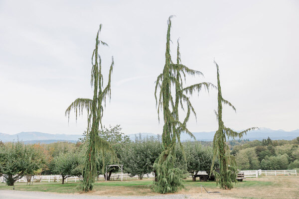 Eagle Mountain Ranch
