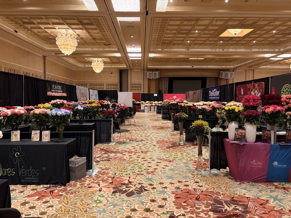 Streamline Show Services
