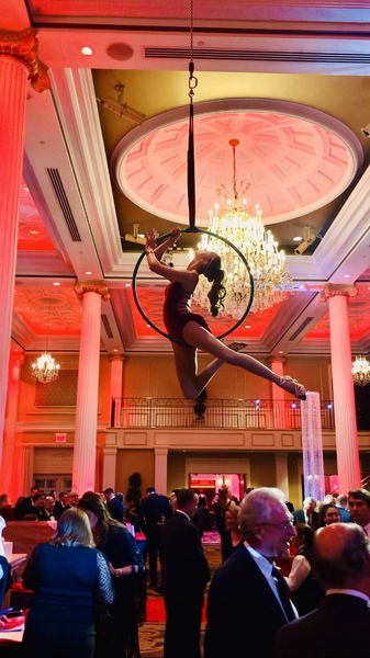 Malin Aerial Dance LLC