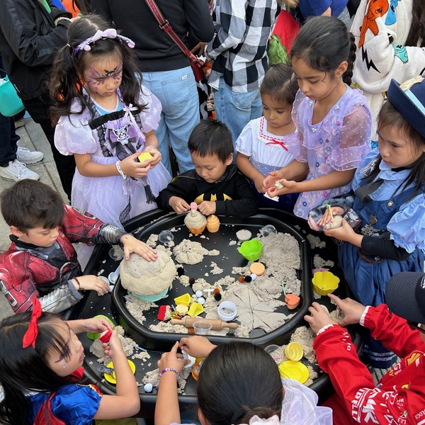 Sensory Celebrations