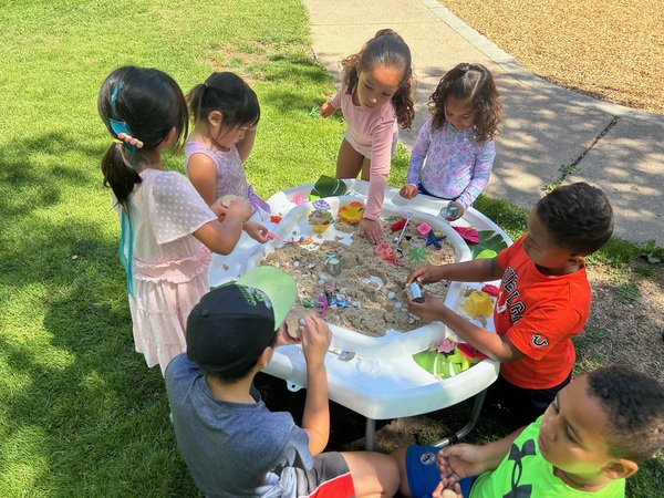 Sensory Celebrations