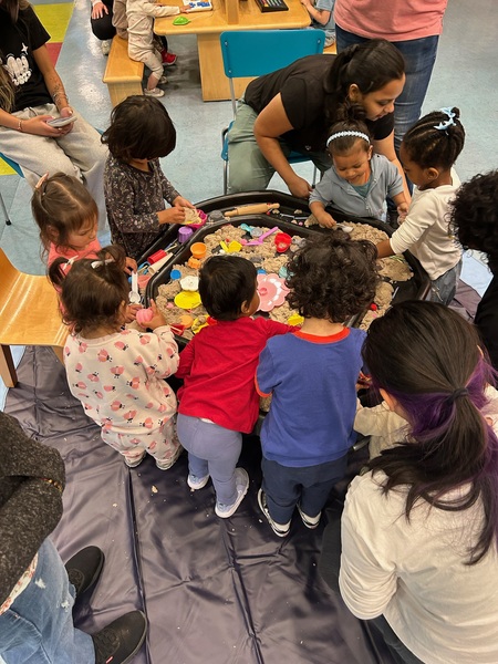Sensory Celebrations