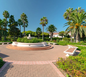 Rose Garden