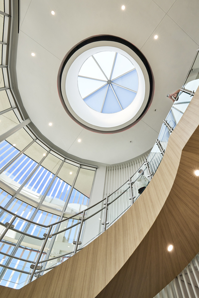 Ellen Noël Art Museum
