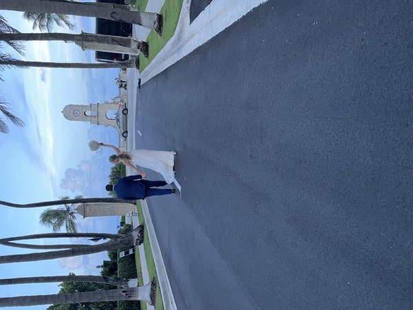 One Gal and a Wedding