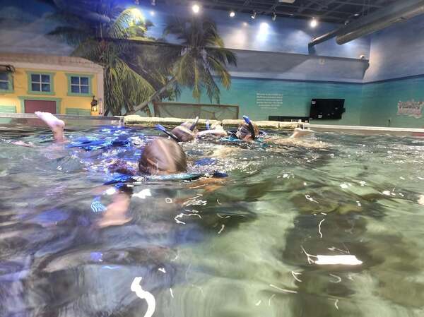 Layton Aquarium & Wildlife Center