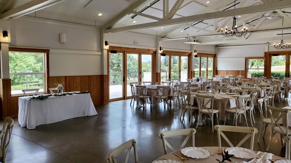 Aurora Vineyards