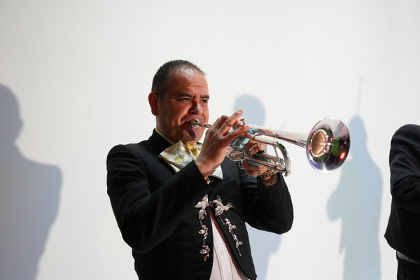 Mariachi Mexico Lindo