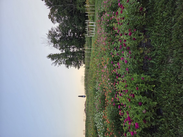 Fox and the Buck Farm