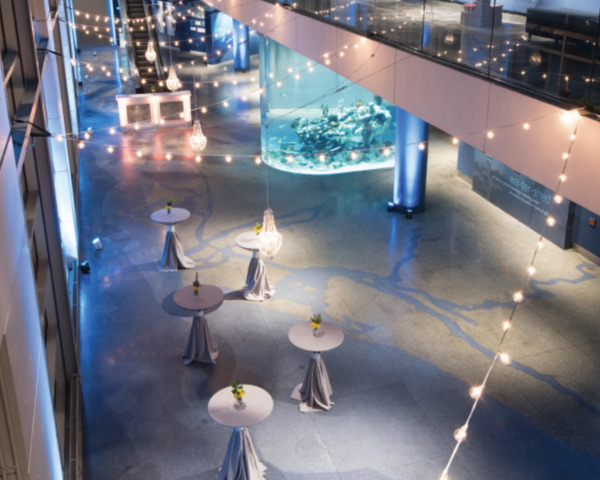 South Carolina Aquarium