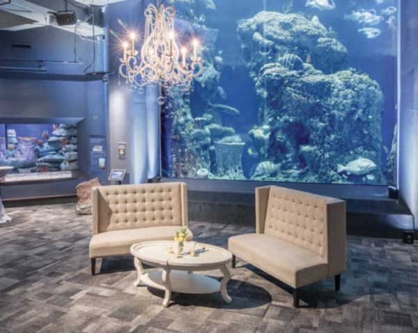 South Carolina Aquarium