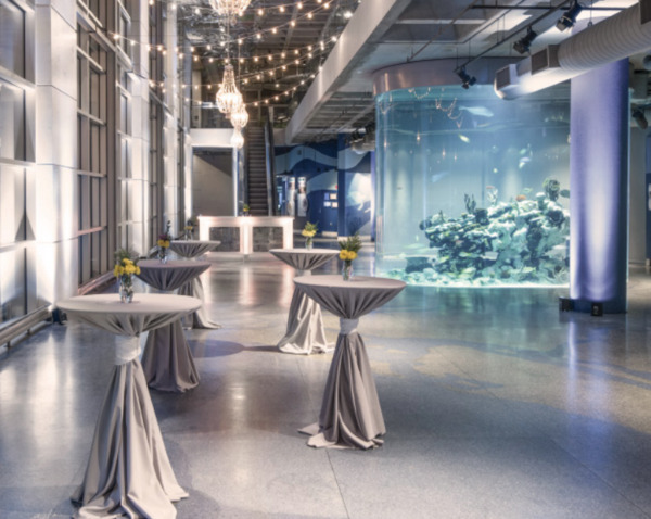 South Carolina Aquarium