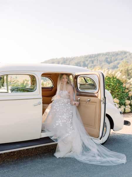 Molly Lichten Photography