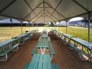The Lawn