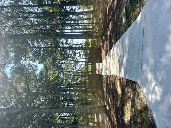 The Buffington, Formerly Rustic Pine Farms