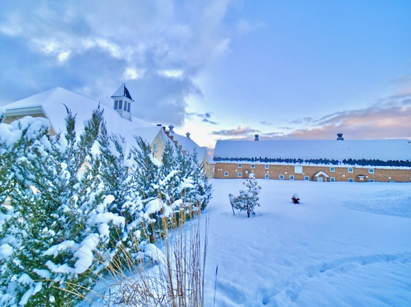The Botanic Garden & Historic Barns Park
