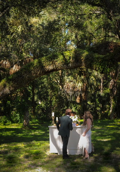Under the Oaks