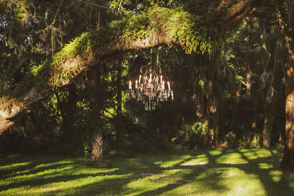 Under the Oaks
