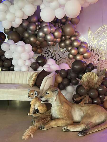 Bisou Experience